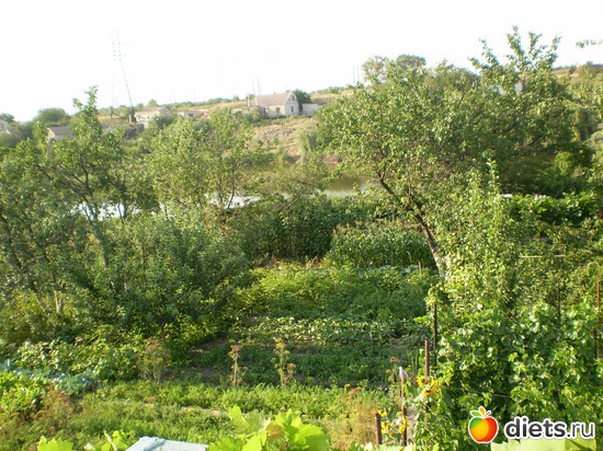 26 ����: ���� �� ����