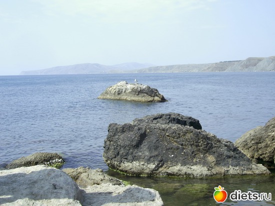 3 ����: ���������