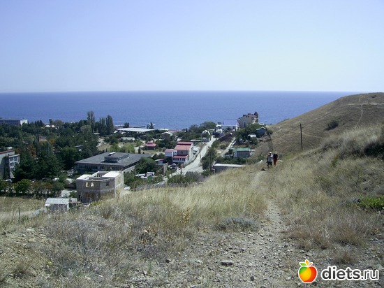 12 ����: ���������