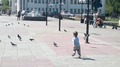 так мы гоняем голубей