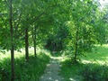 аллея