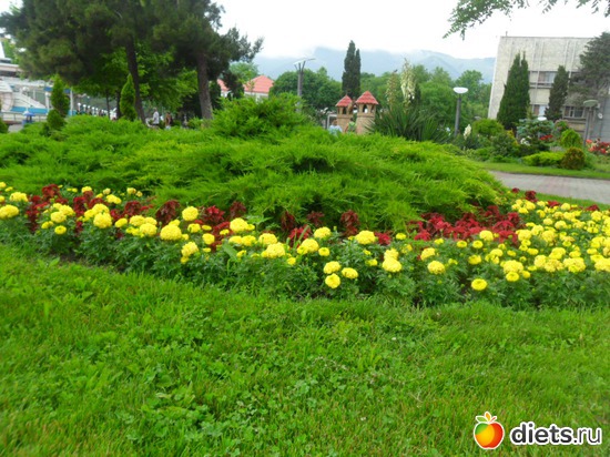 6 фото: Геленджик 2011