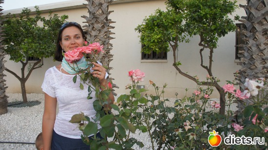 �������, ������: ������ 2011