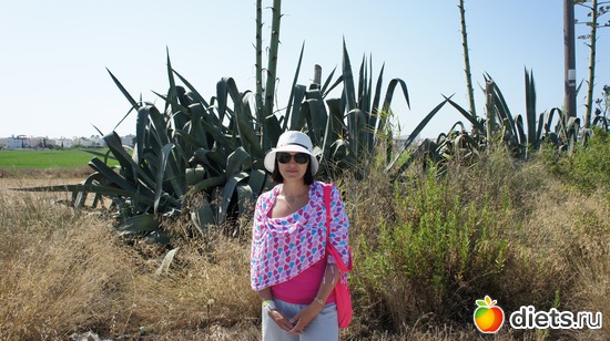 ����������� ����, ������: ������ 2011