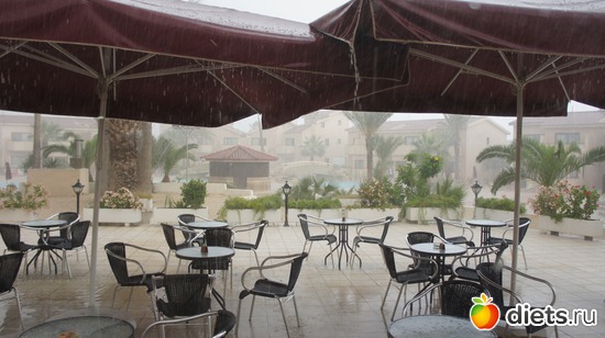 ����� ������� ���� ��� ��������...������..., ������: ������ 2011