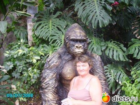 ��������. � ������������