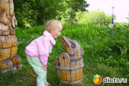 ������ ���