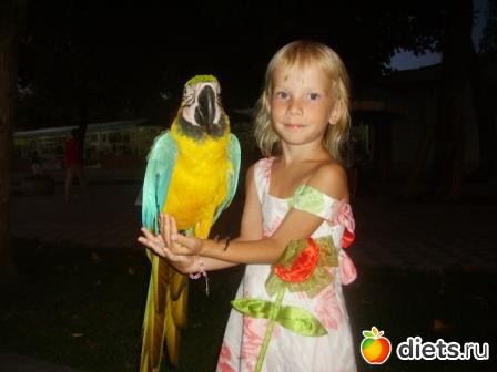 ��� �����