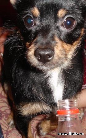 ��� �����!