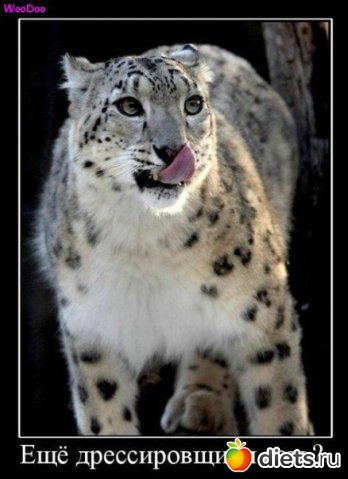 Улыбнитесь новому дню!