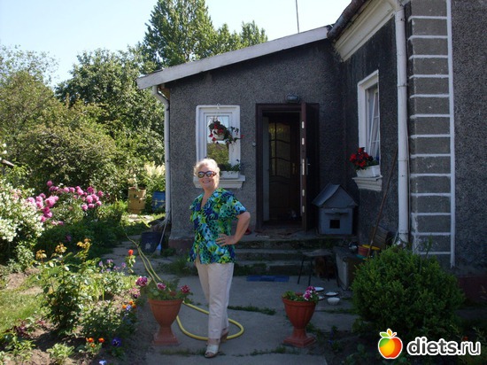 8 ����: ����