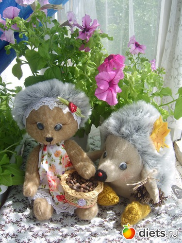 ёжики, альбом: Мои работы