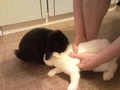 ����������