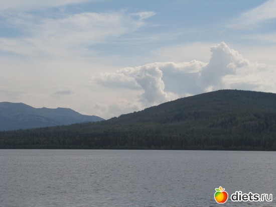 1 ����: ���������