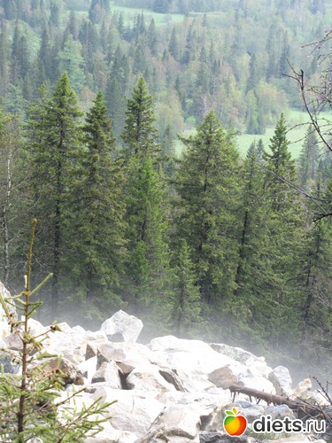 3 ����: ���������