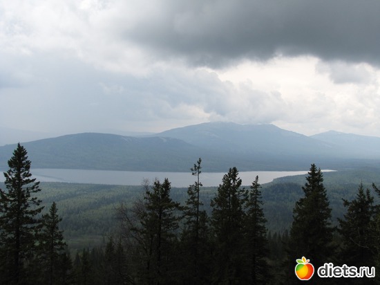 5 ����: ���������