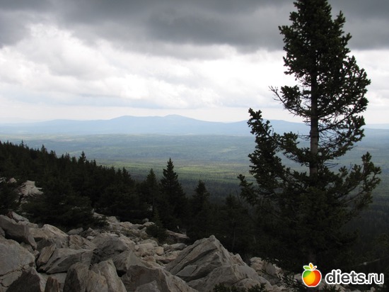 11 ����: ���������