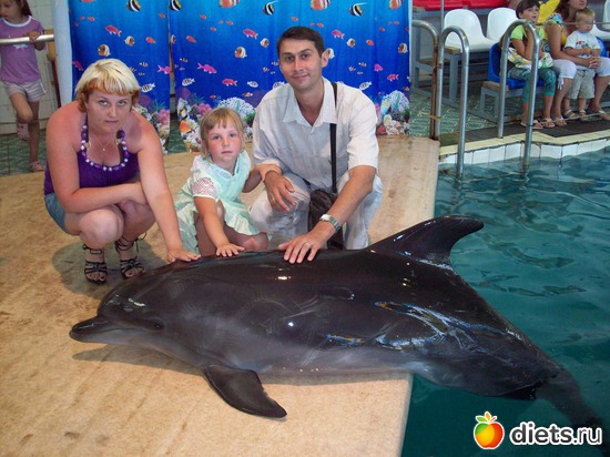 4 ����: ����� �� �������