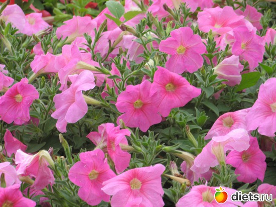 27 фото: Фото