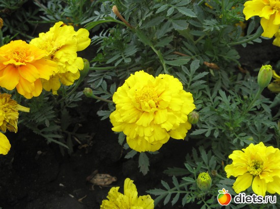 28 фото: Фото