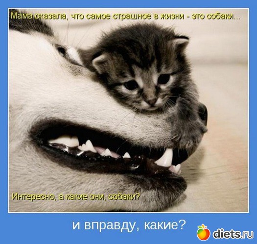 2 ����: ����������