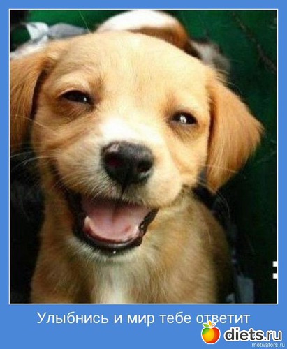 3 ����: ����������