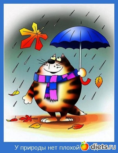 5 ����: ����������