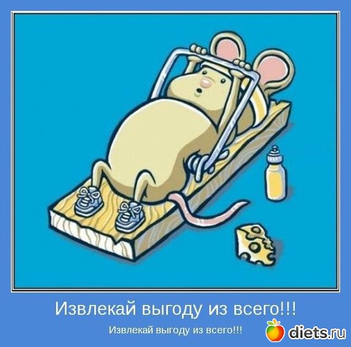 11 ����: ����������