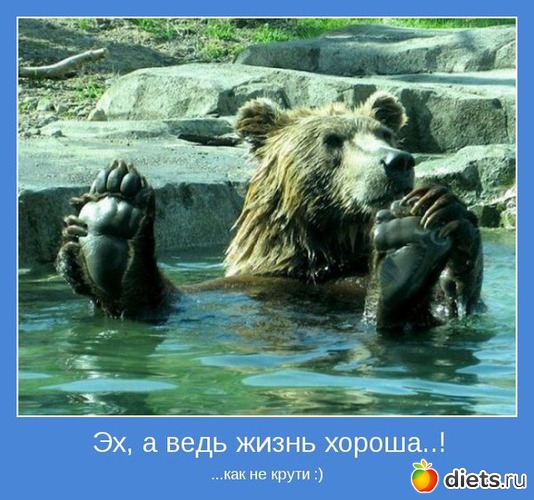 16 ����: ����������