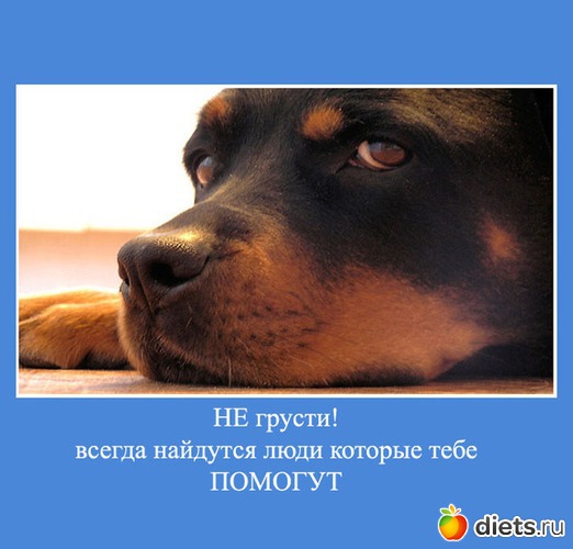 21 ����: ����������