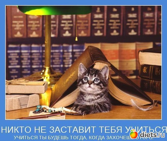 22 ����: ����������