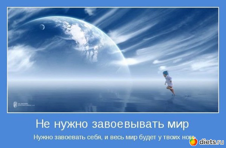 23 ����: ����������