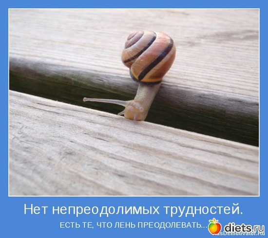 28 ����: ����������