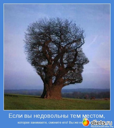 29 ����: ����������