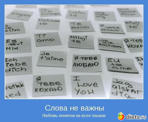 33 ����: ����������