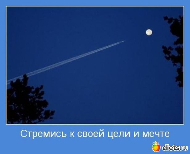 35 ����: ����������