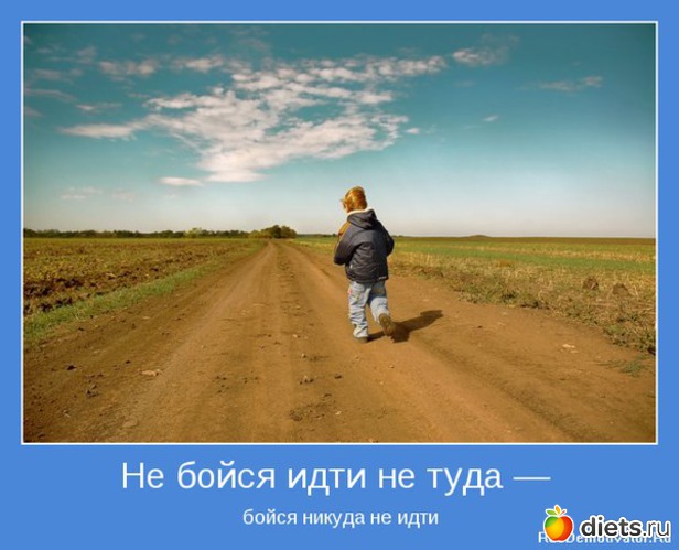 40 ����: ����������