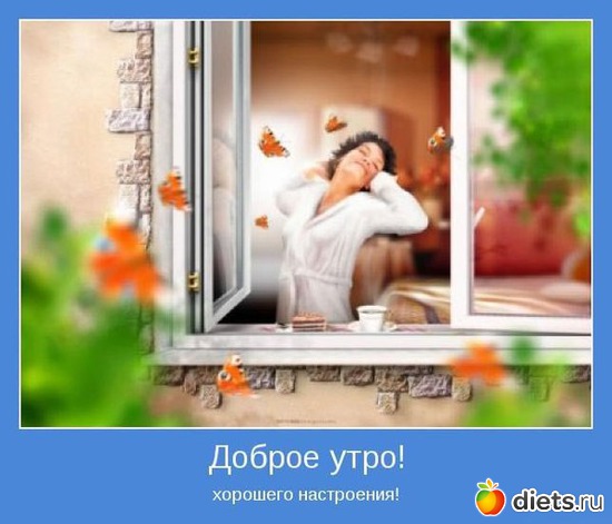 43 ����: ����������