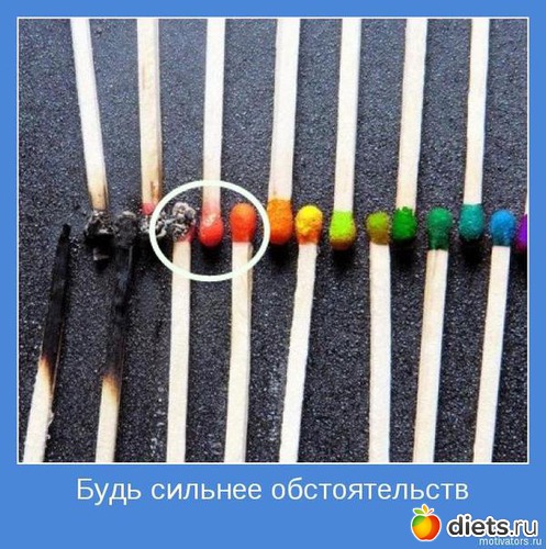 44 ����: ����������