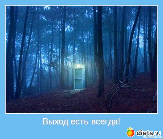 48 ����: ����������