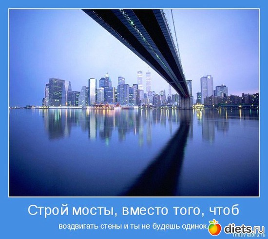 49 ����: ����������