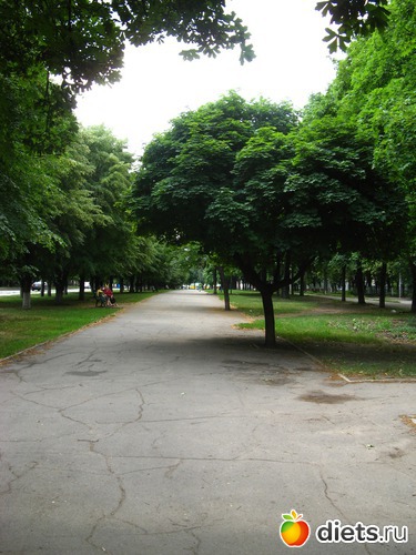 22 фото: Фото