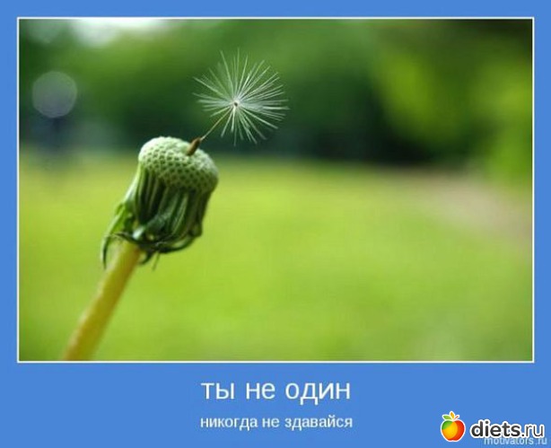 66 ����: ����������