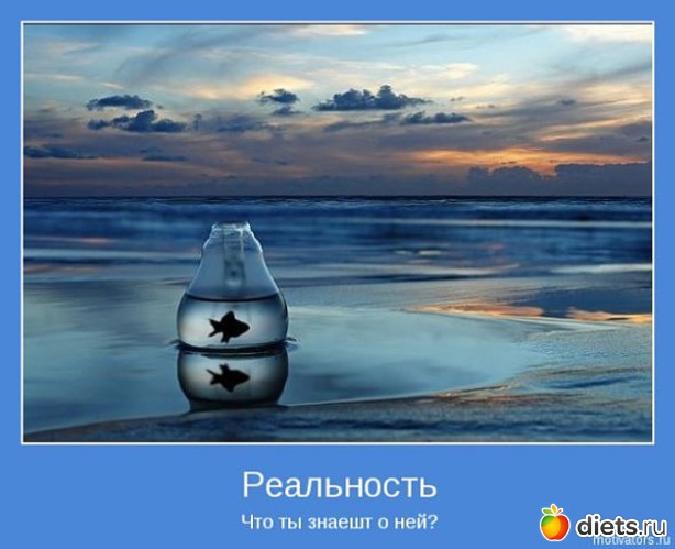 67 ����: ����������