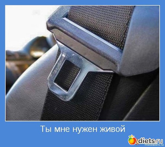 68 ����: ����������