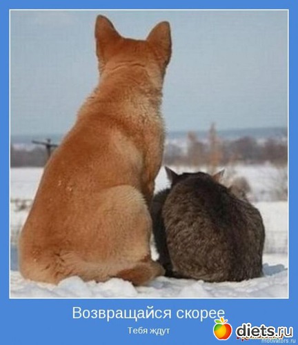 70 ����: ����������