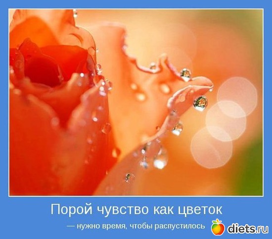 71 ����: ����������