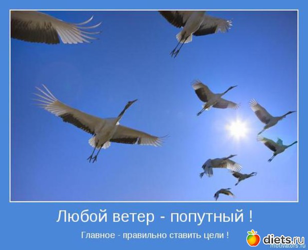 72 ����: ����������