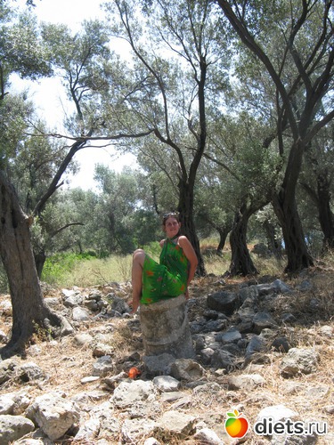 15 ����: ������ 2011