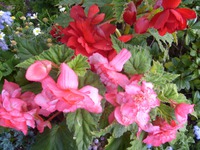 Когда уходите на пять минут...